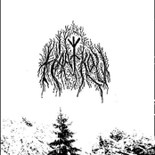 Shades of the New Dawn