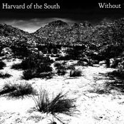 Without - Single