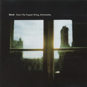 Down The Puppet Strings, Marionettes