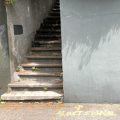 Hooray Honey You Caught Flies