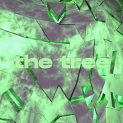 the tree