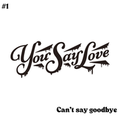 Cant' say goodbye