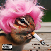 CHIPMUNK GOIN’ BAD
