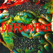 Feculent Goretomb / Die Human Race / Dysmenorrheic Hemorrhage