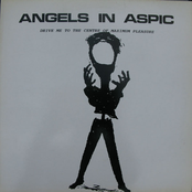 Drive Me To The Center Of Maximum Pleasure 12''