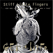 Harp by Stiff Little Fingers