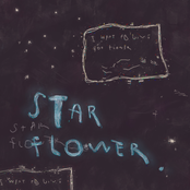star flower