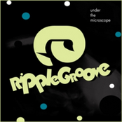 Under The Microscope