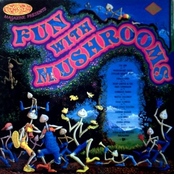 Fun With Mushrooms