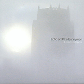 King Of Kings by Echo & The Bunnymen