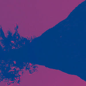 The Licks: Lavender Kiss