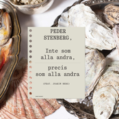 Inte som alla andra, precis som alla andra (feat. Joakim Berg)