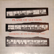 plane of section