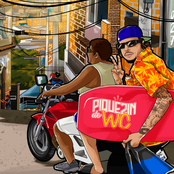 Piquezin do WC