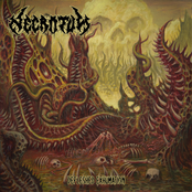 Defleshed Exhumation (Album)