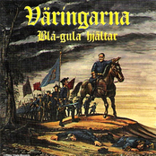 Blå-gula hjältar