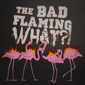 the Bad Flaming What!?