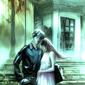 dumbdvd erasmus (Remix)