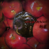 a rotten apple spoils the barrel