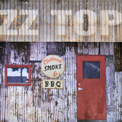 Salt Lick by Zz Top