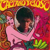 Tropicália by Caetano Veloso