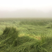 wind fields 808