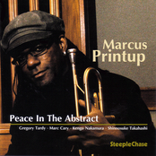 Peace In The Abstract