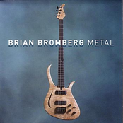 Flight Of The Phoenix by Brian Bromberg