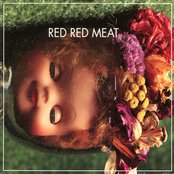Red Red Meat - Bunny Gets Paid Artwork