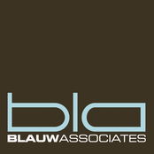 blauw associates