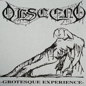 Obscene: Grotesque Experience