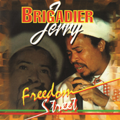 Fight For Your Right by Brigadier Jerry