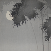 I Didn't Kill Myself Today