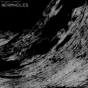 Wormholes