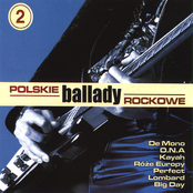 Polskie ballady rockowe vol.2