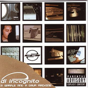 Anticipation by Dl Incognito