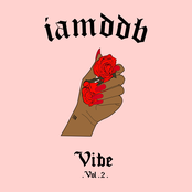 IAMDDB: Vibe, Volume 2.