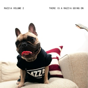 Razzia vol 2 - There's A Razzia Going On