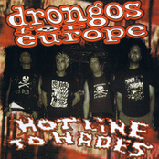 Hotline To Hades by Drongos For Europe