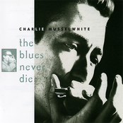 Tennessee Woman by Charlie Musselwhite