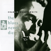 Stingaree by Charlie Musselwhite