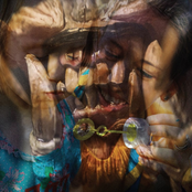 Lexachast [2019]