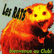 On A Lâché Les Chiens by Les Rats