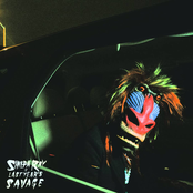 Shilpa Ray: Last Year's Savage