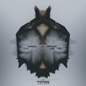 Compulsive Obsession