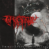 Immaculate Objection