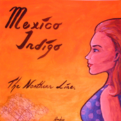 mexico indigo