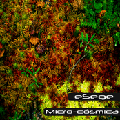 [chase 054] - eSege - Micro-cósmica