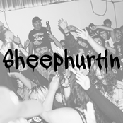 Sheephurtin' - Single