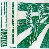 A Kép / The Picture